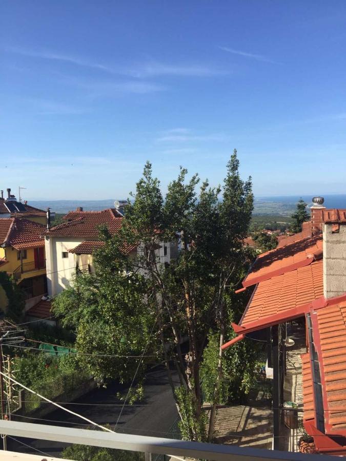 Апартаменти Melina'S Casa Літохоро Екстер'єр фото